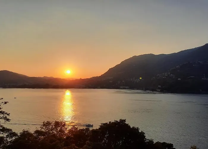 公寓 An Armchair On The *